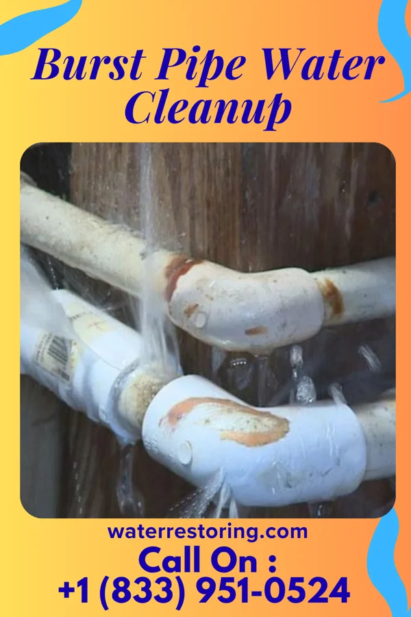 Burst Pipe Water Cleanup in Tennyson, WI