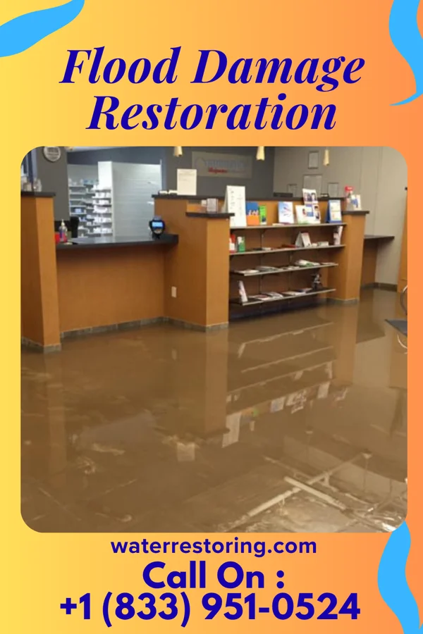 Flood Damage Restoration in Tennyson, WI