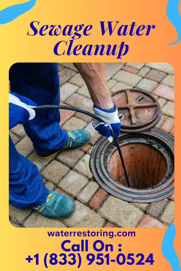 Sewage Water Cleanup in Tennyson, WI