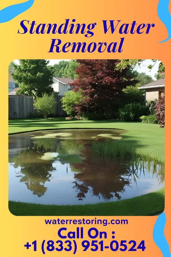 Standing Water Removal in Tennyson, WI